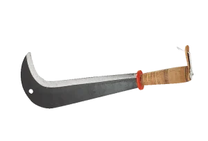 Serpe suisse, 43 cm